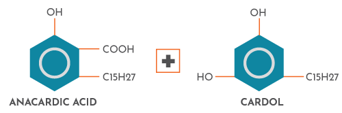 Chemical Composition of CNSL